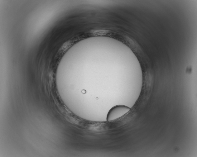 X0000112770761200908201350