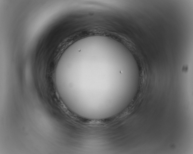 X0000112770762200908201350