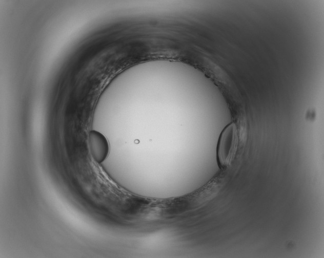 X0000112770764200908201350