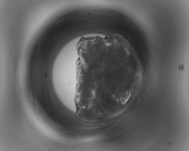 X0000112770765200908201350