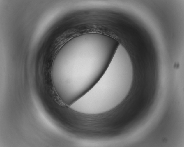 X0000112770766200908201350