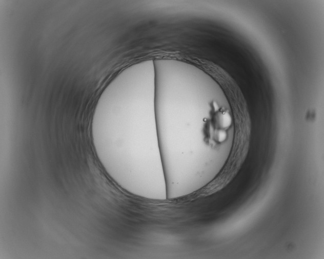 X0000112770767200908201350