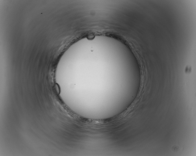 X0000112770768200908201350