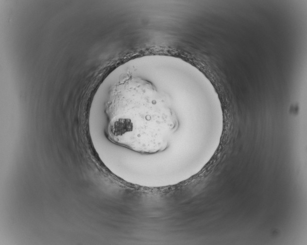 X0000112770769200908201349