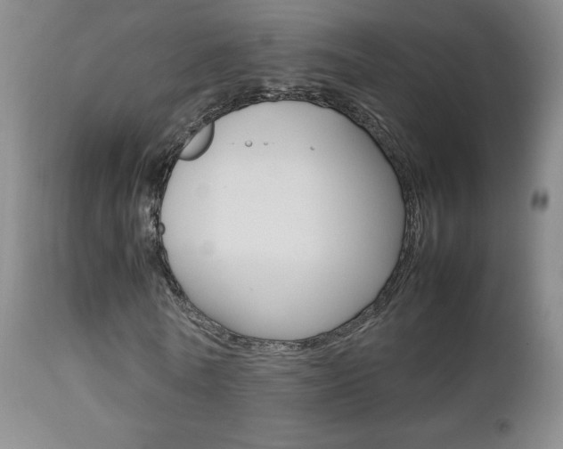 X0000112770770200908201349