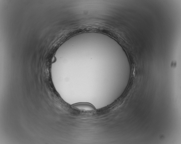 X0000112770771200908201349