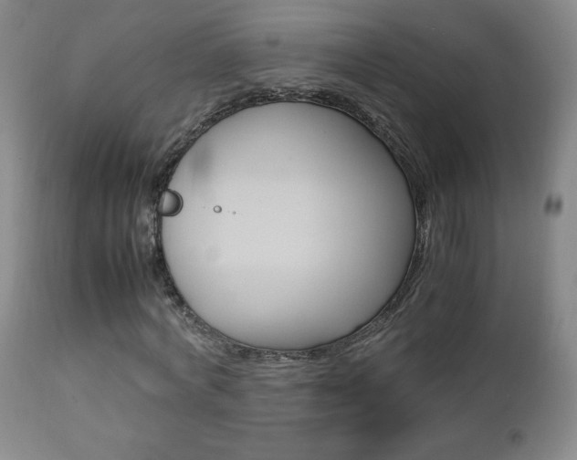 X0000112770772200908201349