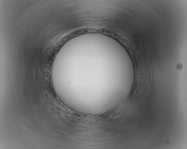 X0000112770773200908201349
