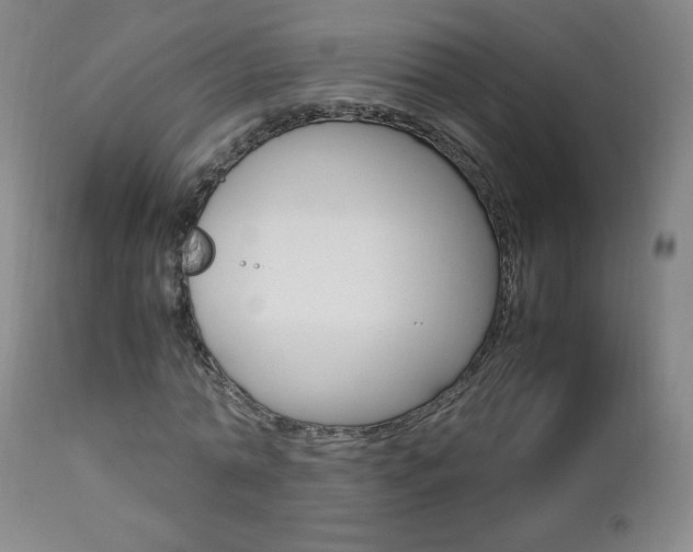 X0000112770774200908201349