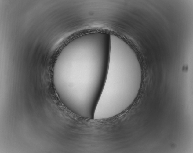 X0000112770776200908201349