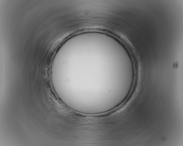 X0000112770777200908201349