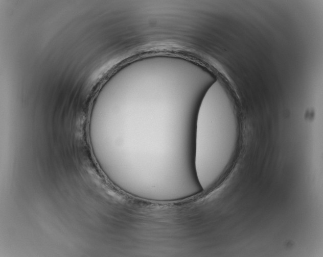 X0000112770778200908201349