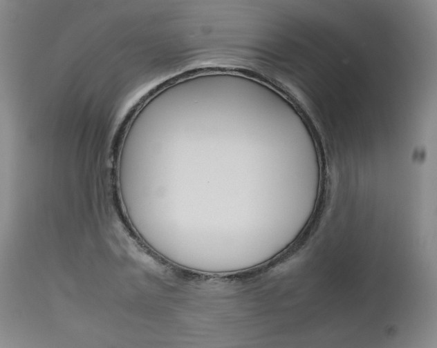 X0000112770779200908201349