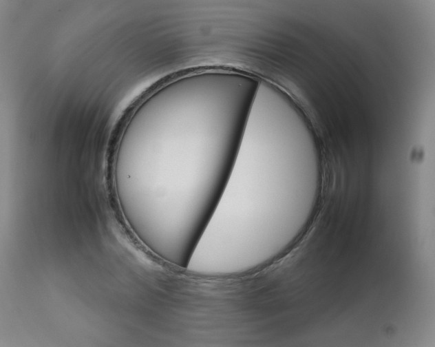 X0000112770780200908201349