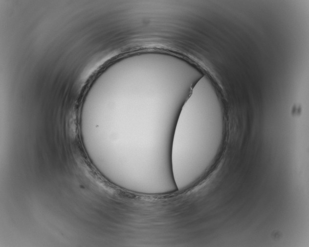 X0000112770782200908201349