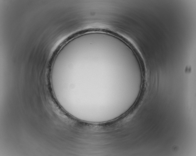 X0000112770783200908201349