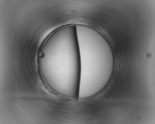 X0000112770788200908201349