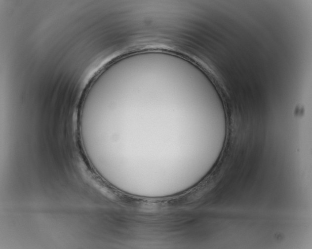 X0000112770790200908201349