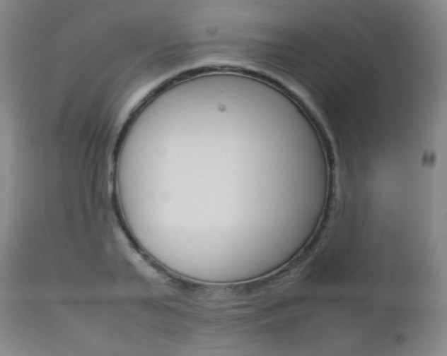 X0000112770791200908201349