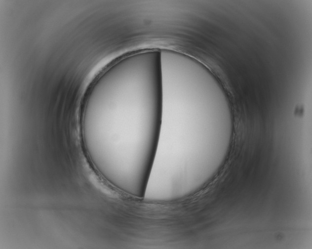 X0000112770792200908201349