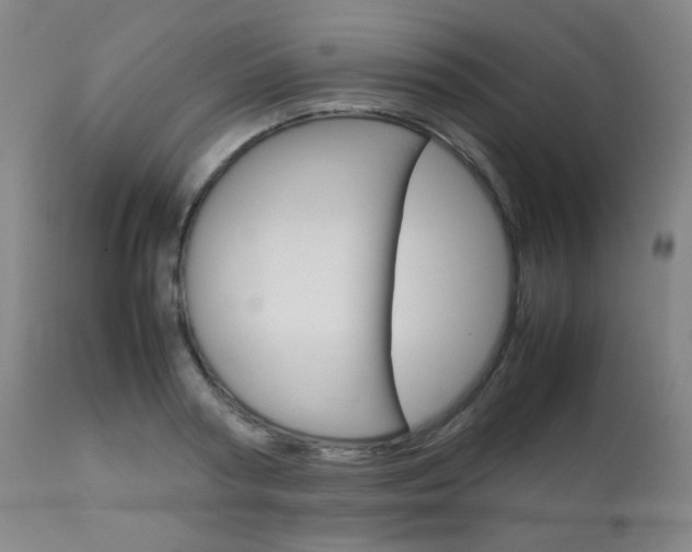 X0000112770794200908201349