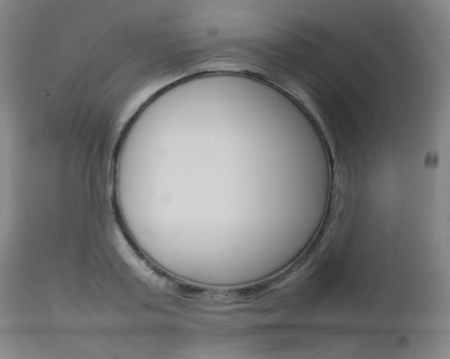 X0000112770795200908201349