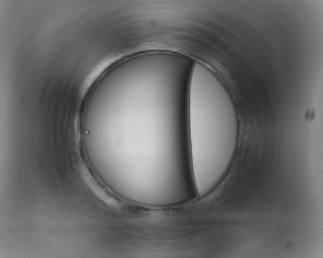 X0000112770796200908201349