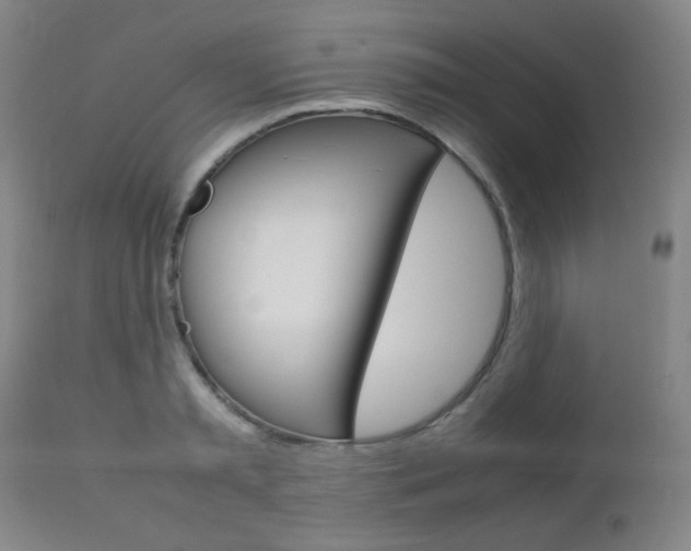 X0000112770797200908201349