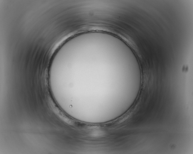 X0000112770798200908201349
