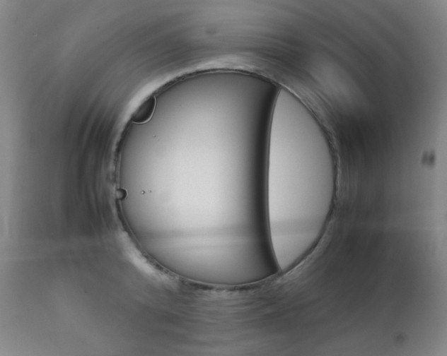 X0000112770800200908201349