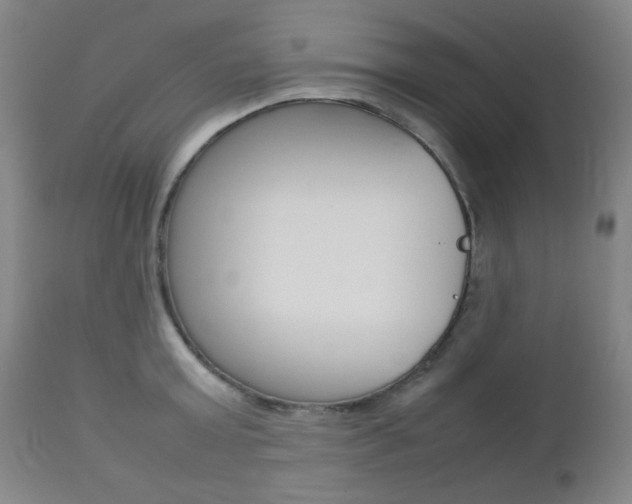 X0000112770803200908201349