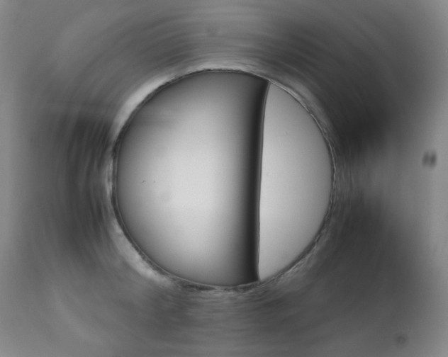 X0000112770804200908201349