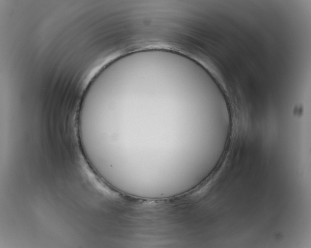 X0000112770806200908201349