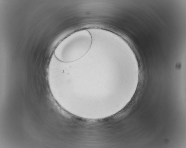 X0000112770807200908201349