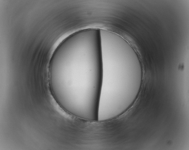 X0000112770808200908201349