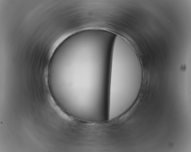 X0000112770812200908201348