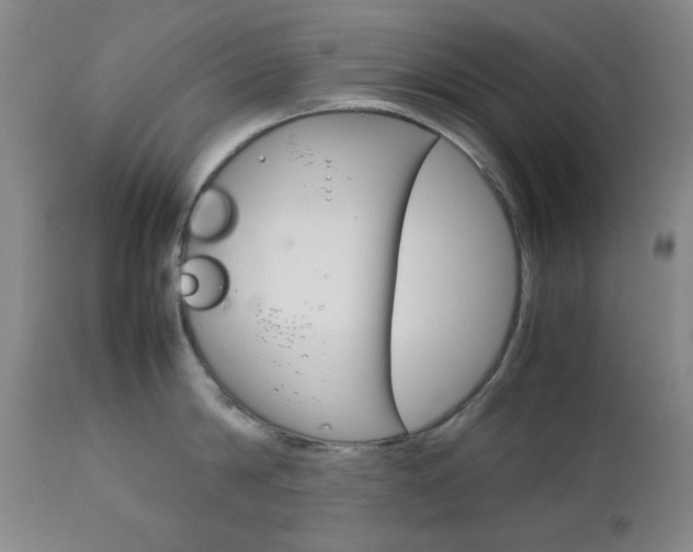 X0000112770814200908201348