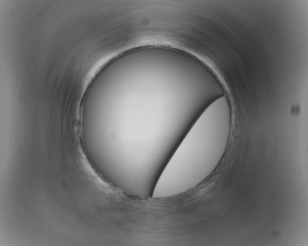 X0000112770815200908201348