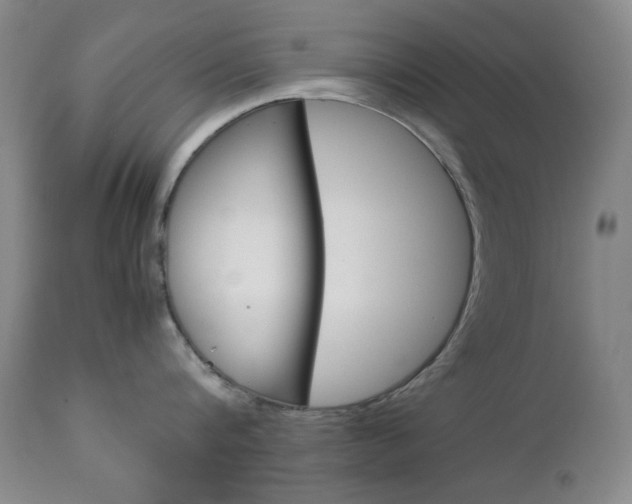 X0000112770816200908201348