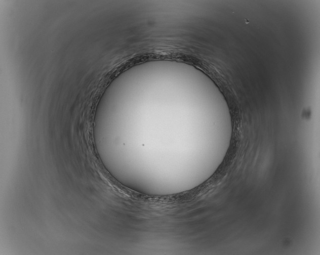 X0000112770817200908201348