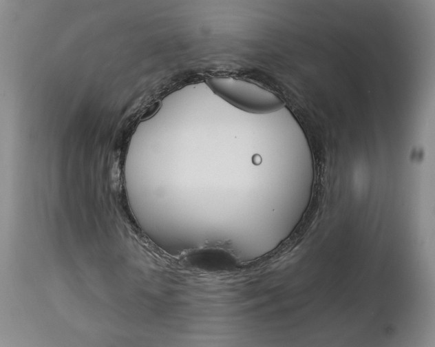 X0000112770818200908201348