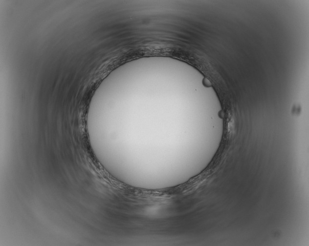 X0000112770819200908201348