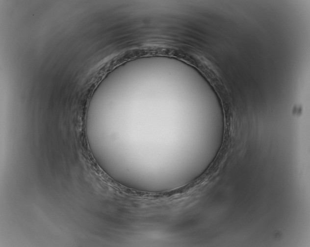 X0000112770821200908201348