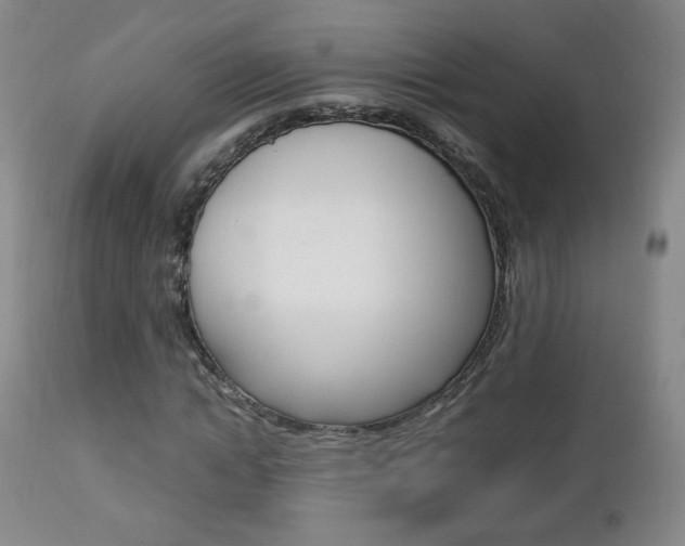 X0000112770822200908201348