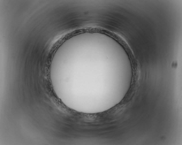 X0000112770823200908201348
