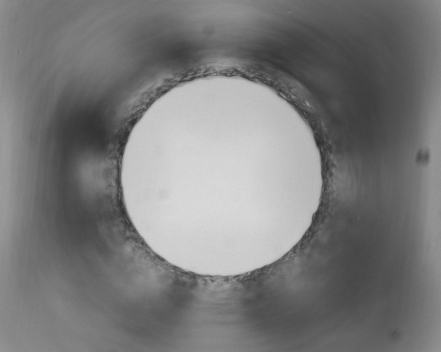 X0000112770824200908201348