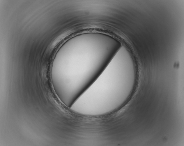 X0000112770826200908201348