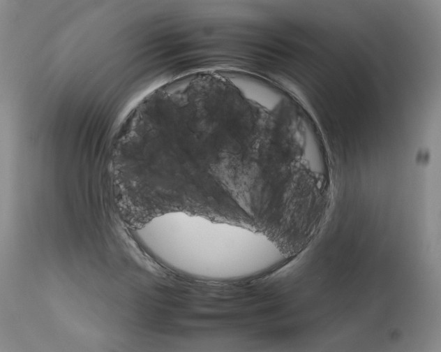 X0000112770827200908201348