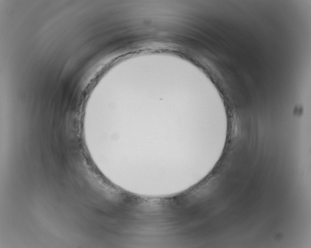 X0000112770828200908201348