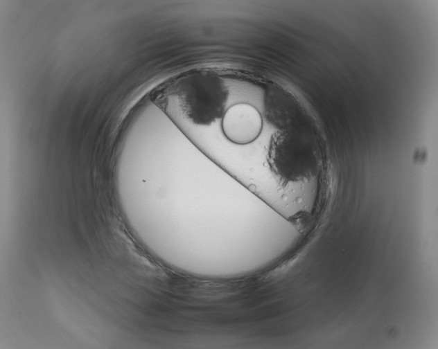 X0000112770829200908201348